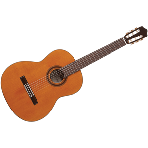 Cordoba C7 CD Acoustic Nylon String Classical Guitar