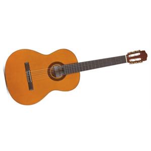 Cordoba Guitars Protege C1 Size Acoustic Nylon String Guitar