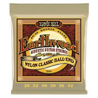 Ernie Ball Earthwood Folk