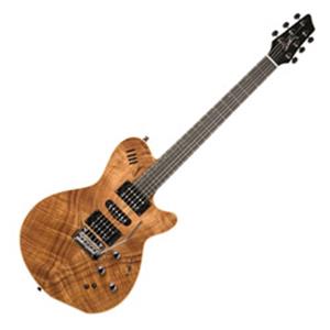 Godin Guitars 036523