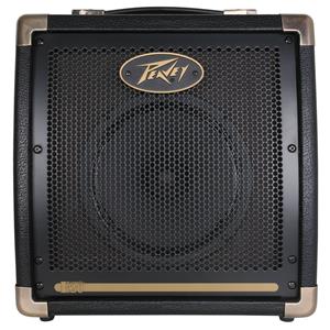 Peavey Ecoustic20