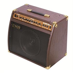 RMS 40 Watt Acoustic Guitar Amp